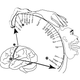 Illustration for article titled Wait, Whose Leg Is That?